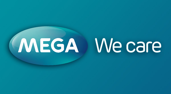Mega Prenatal Celebration